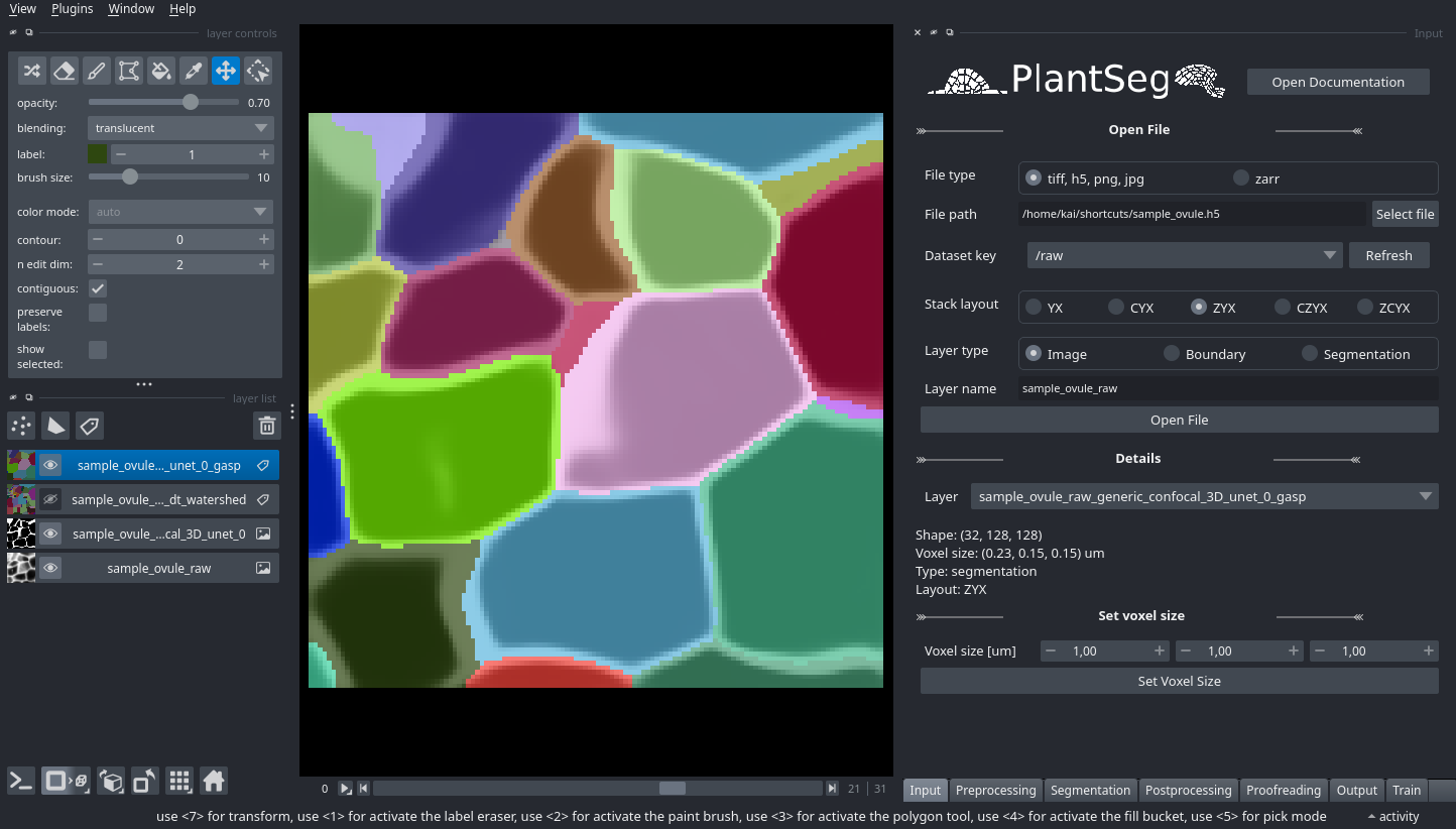 PlantSeg Interactive - Napari - PlantSeg